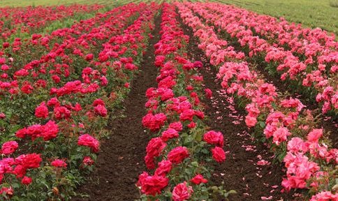 ?????????????????????