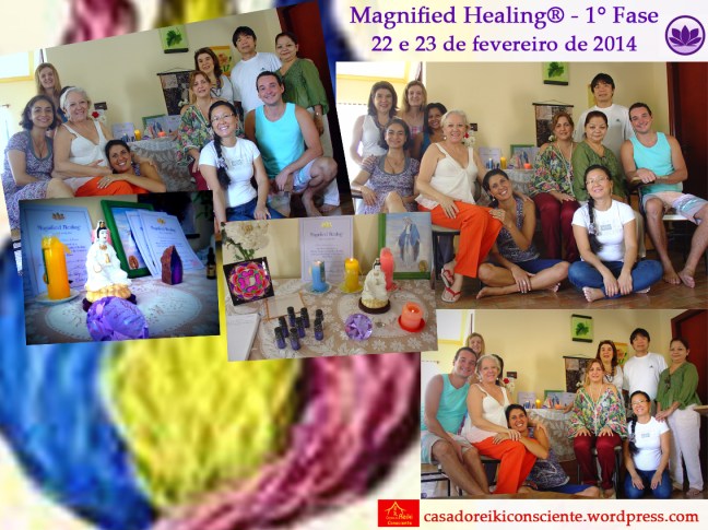 Curso Magnified Healing-22 e23 fev2014